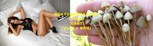 меф Алзамай