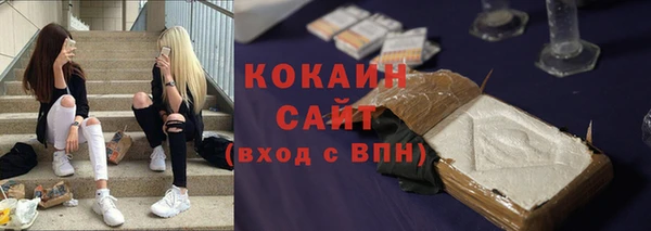 ешки Алексин