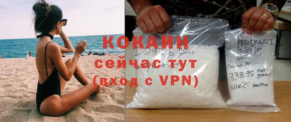 ешки Алексин