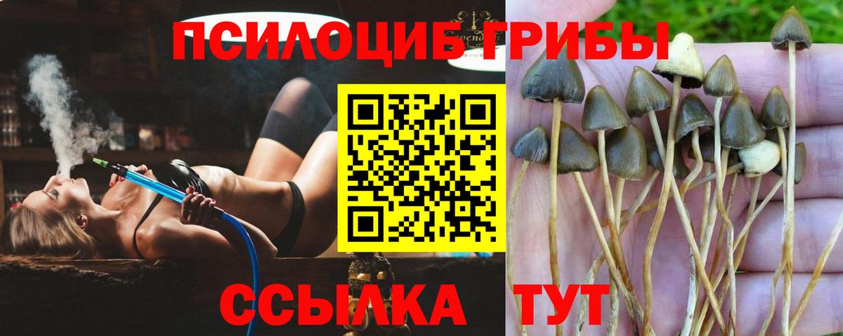 Галлюциногенные грибы ЛСД Нягань